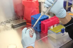 Badania laboratoryjne